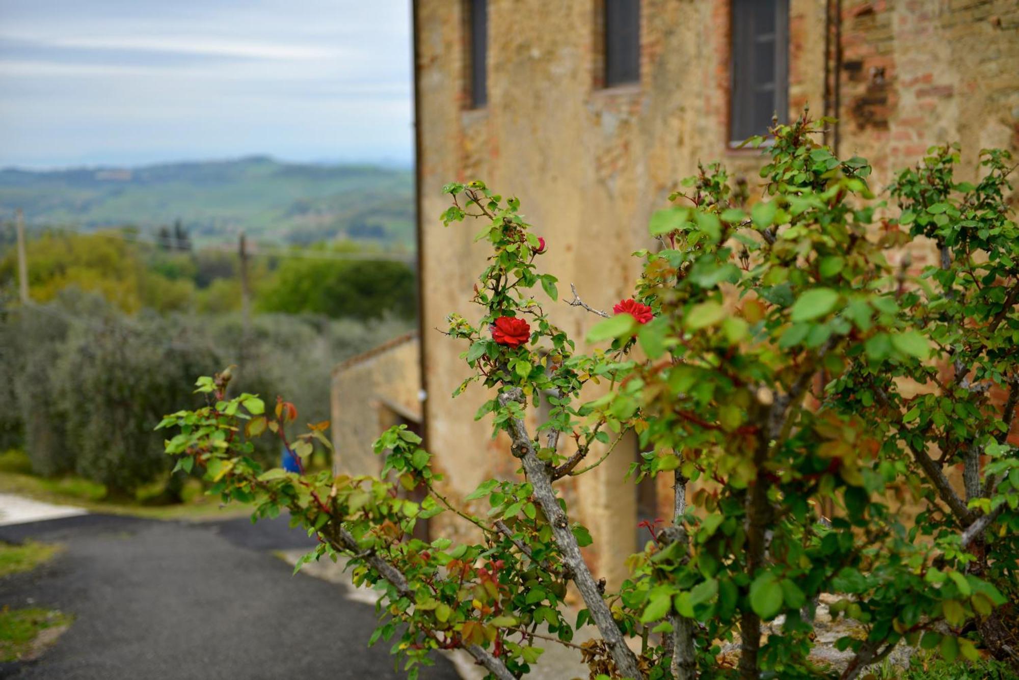 Apartament Casa Zeno Volterra Zewnętrze zdjęcie